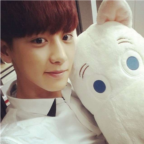 15 Adorable Selcas By Our Favorite Idols