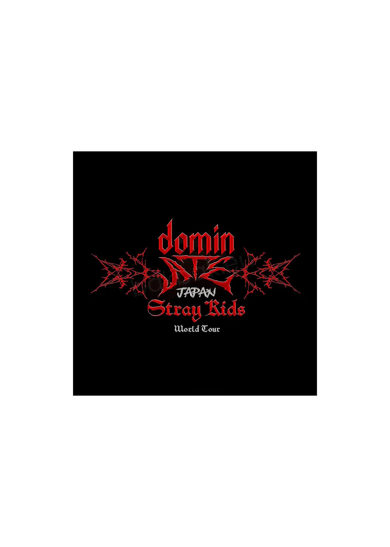 STRAY KIDS WORLD TOUR [dominATE JAPAN] BLU-RAY