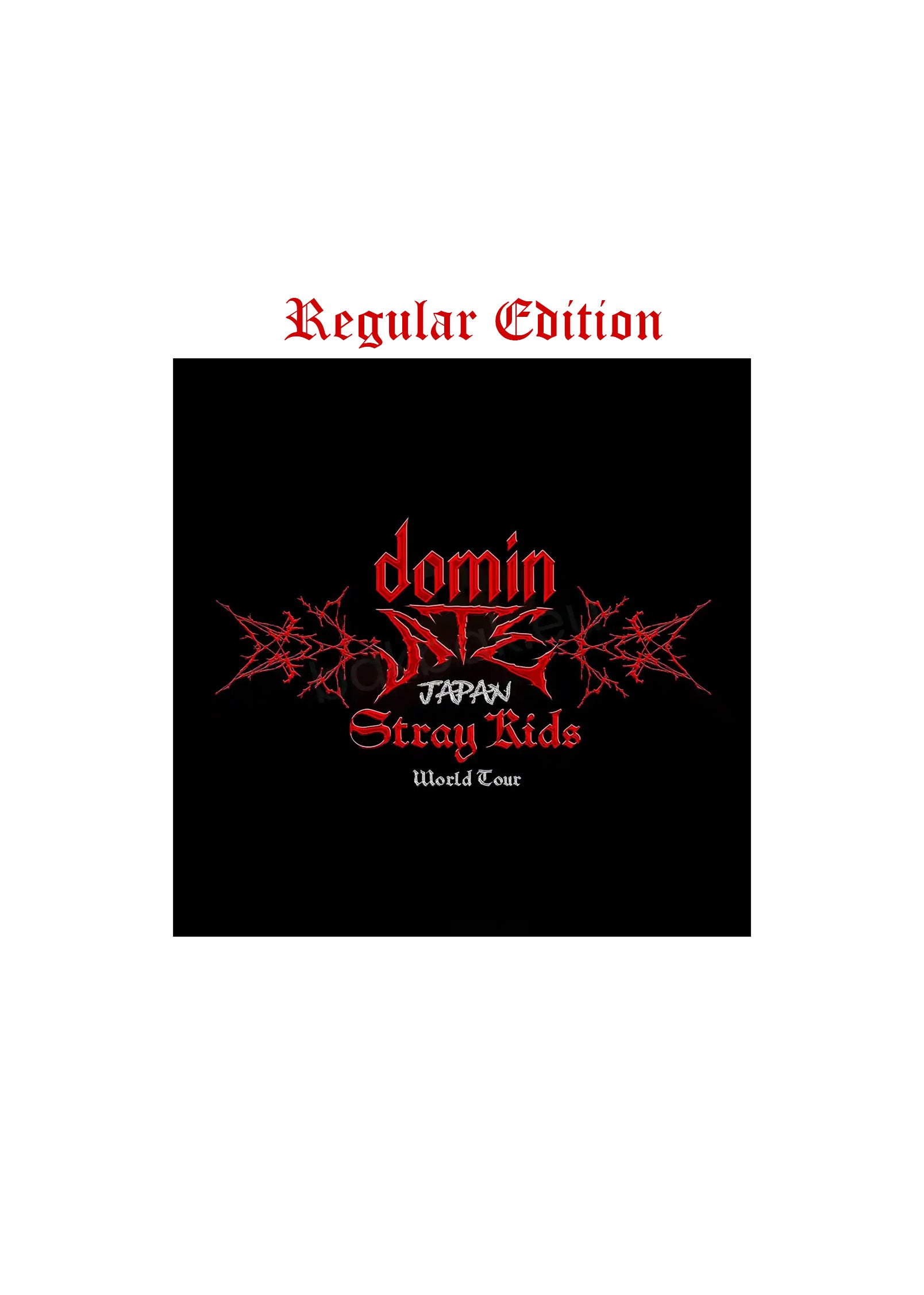 STRAY KIDS WORLD TOUR [dominATE JAPAN] BLU-RAY